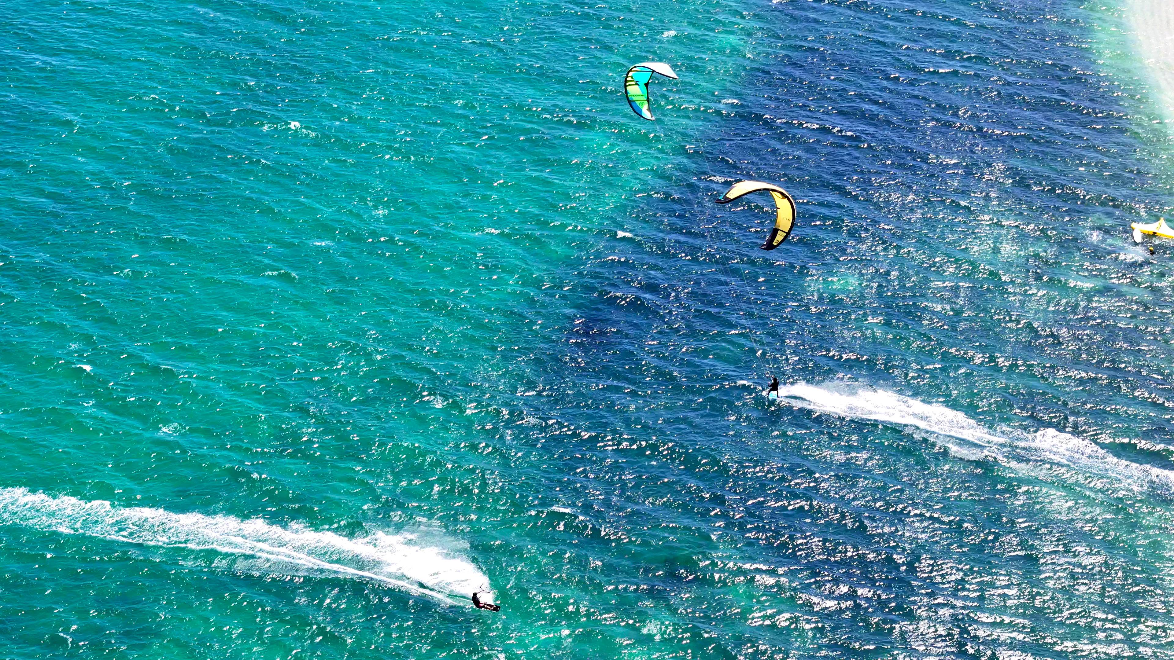 Two kites on the water off the beach, seen from above.